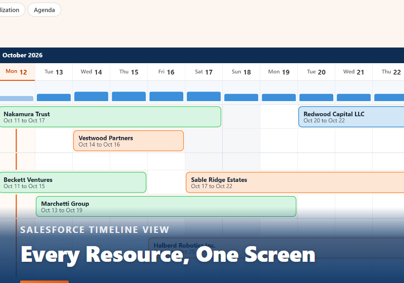 The Salesforce Timeline View: Every Resource and Booking on One Screen (article cover image)